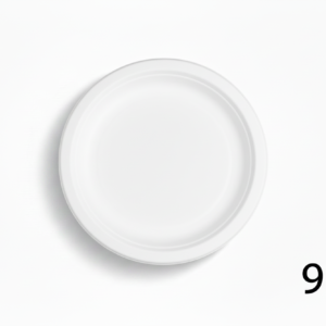 9" plate with label - bright white
