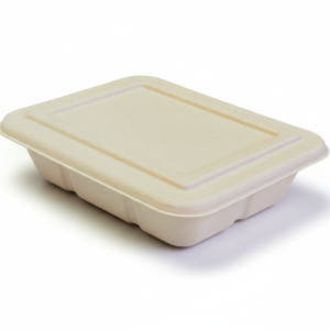 Container with lid