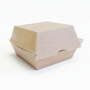 Eco Burger Box on blank background