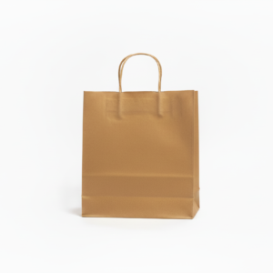 Kraft paper bag clean without labels