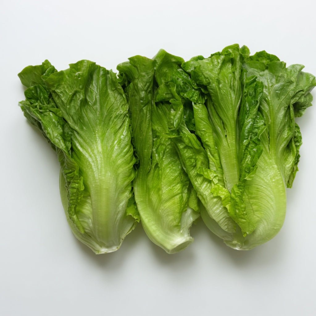 認證有機生菜(600克)