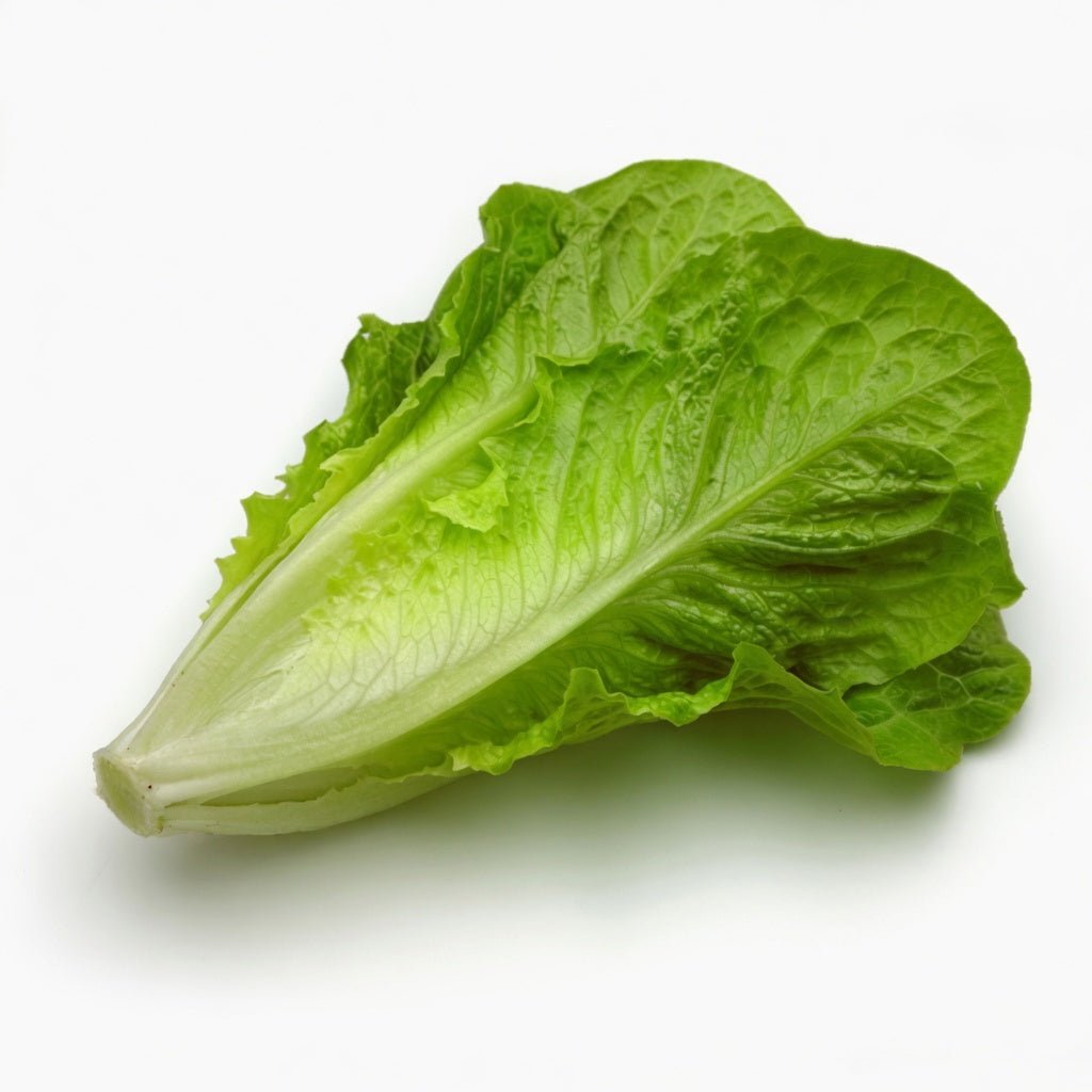 認證有機羅馬生菜(600克)